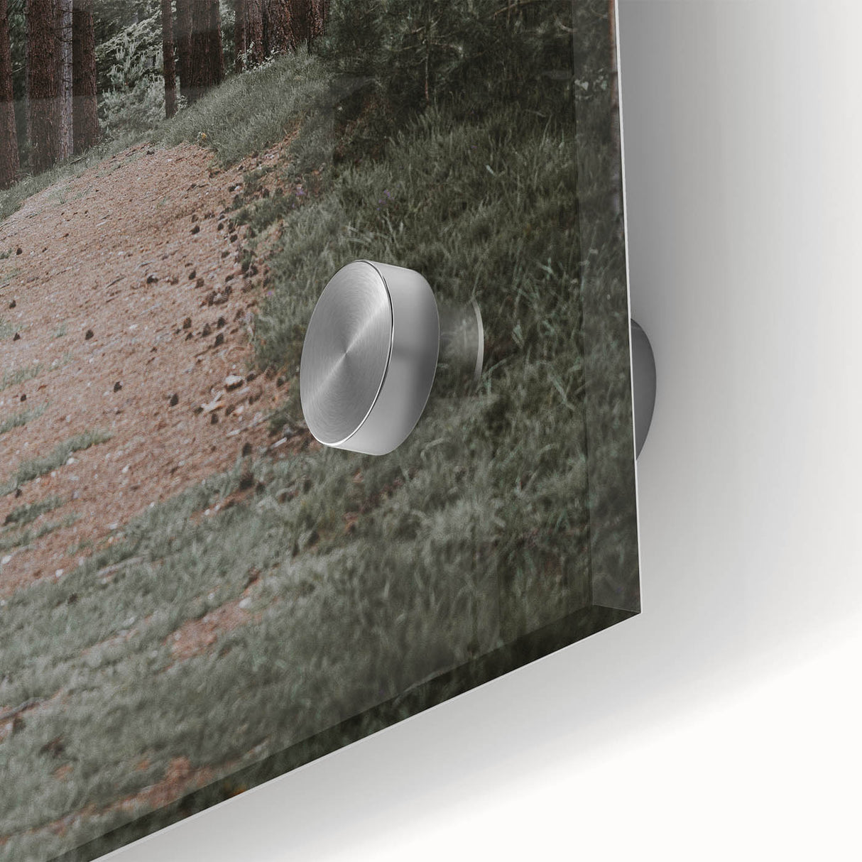 Rustic Wall Art - Forest Path with Tall Pines for Farmhouse Decor