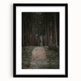 Rustic Wall Art - Forest Path with Tall Pines for Farmhouse Decor