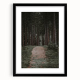 Rustic Wall Art - Forest Path with Tall Pines for Farmhouse Decor