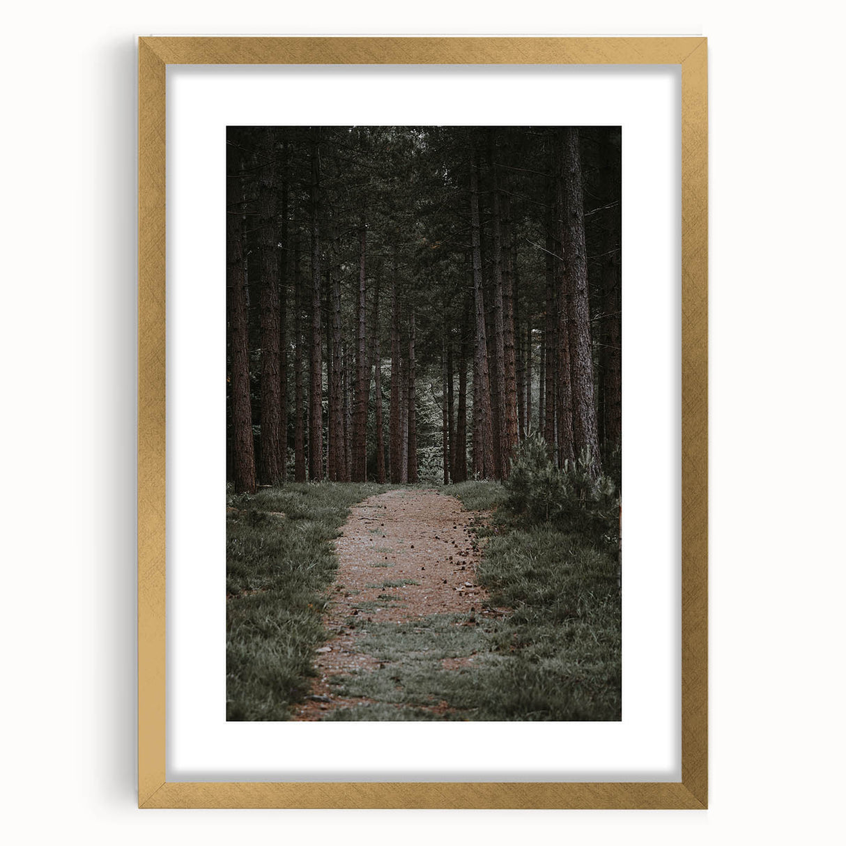 Rustic Wall Art - Forest Path with Tall Pines for Farmhouse Decor