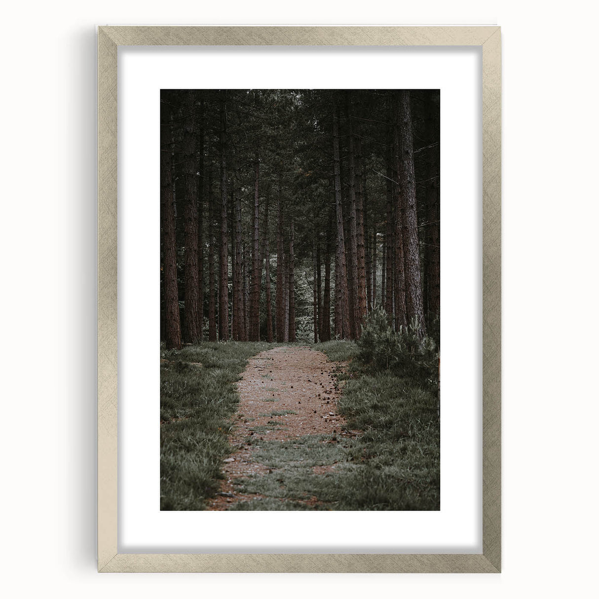Rustic Wall Art - Forest Path with Tall Pines for Farmhouse Decor