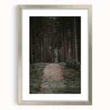 Rustic Wall Art - Forest Path with Tall Pines for Farmhouse Decor
