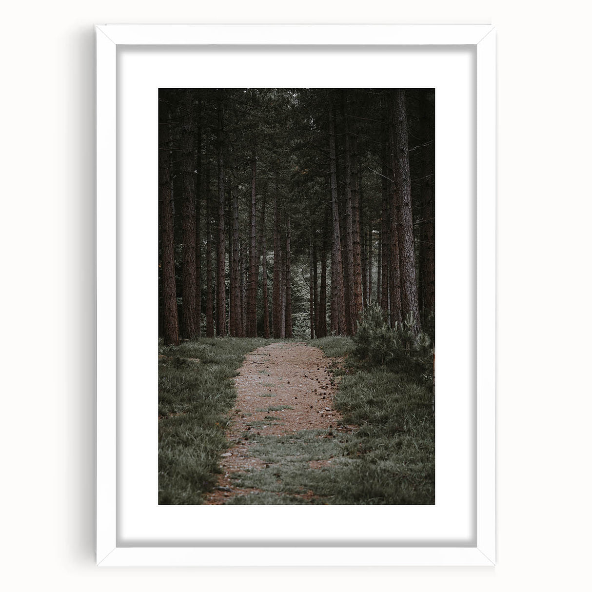 Rustic Wall Art - Forest Path with Tall Pines for Farmhouse Decor