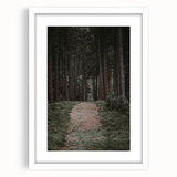 Rustic Wall Art - Forest Path with Tall Pines for Farmhouse Decor