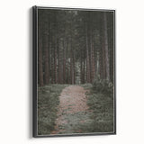 Rustic Wall Art - Forest Path with Tall Pines for Farmhouse Decor