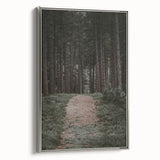Rustic Wall Art - Forest Path with Tall Pines for Farmhouse Decor