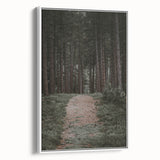 Rustic Wall Art - Forest Path with Tall Pines for Farmhouse Decor