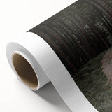 Rustic Wall Art - Forest Path with Tall Pines for Farmhouse Decor