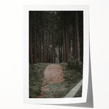 Rustic Wall Art - Forest Path with Tall Pines for Farmhouse Decor