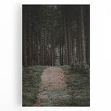 Rustic Wall Art - Forest Path with Tall Pines for Farmhouse Decor