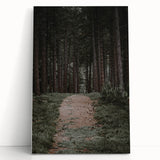 Rustic Wall Art - Forest Path with Tall Pines for Farmhouse Decor