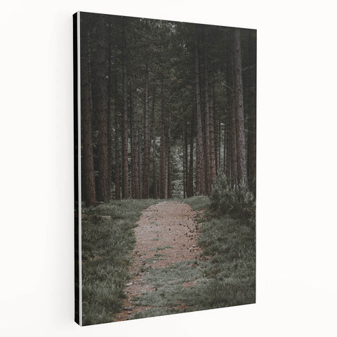 Rustic Wall Art - Forest Path with Tall Pines for Farmhouse Decor