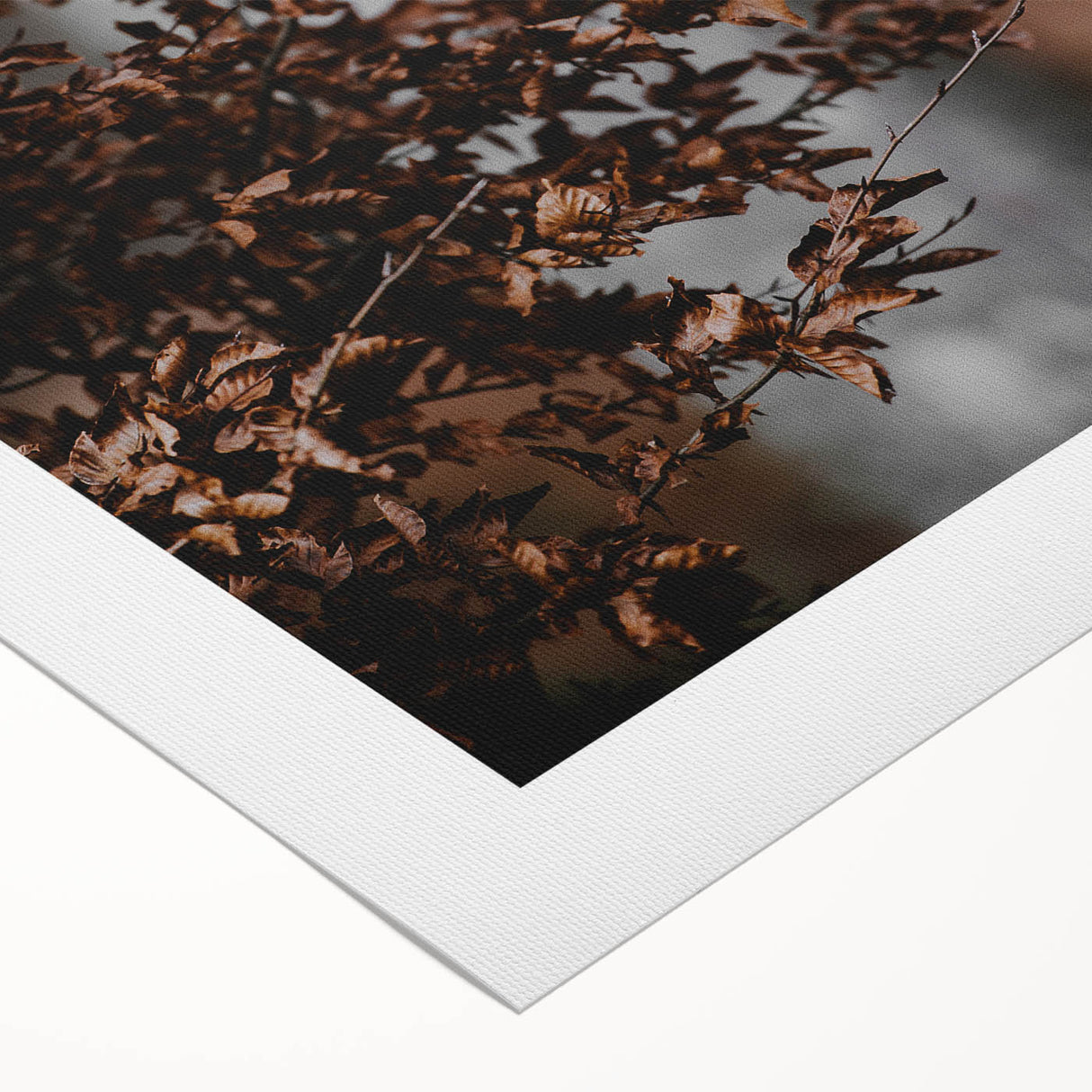 Rustic Wall Art - Autumn Branches with Leaves for Farmhouse Decor