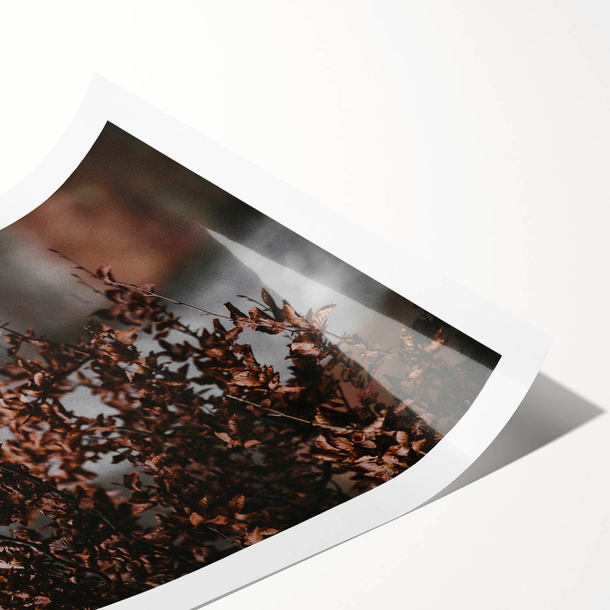 Rustic Wall Art - Autumn Branches with Leaves for Farmhouse Decor