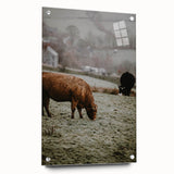 Rustic Wall Art - Grazing Cows in Countryside for Farmhouse Decor
