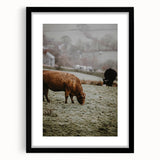 Rustic Wall Art - Grazing Cows in Countryside for Farmhouse Decor