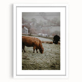 Rustic Wall Art - Grazing Cows in Countryside for Farmhouse Decor