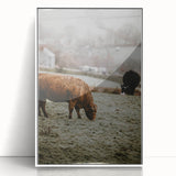 Rustic Wall Art - Grazing Cows in Countryside for Farmhouse Decor