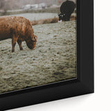 Rustic Wall Art - Grazing Cows in Countryside for Farmhouse Decor