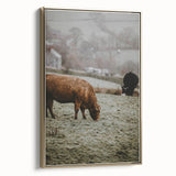 Rustic Wall Art - Grazing Cows in Countryside for Farmhouse Decor