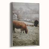 Rustic Wall Art - Grazing Cows in Countryside for Farmhouse Decor