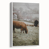 Rustic Wall Art - Grazing Cows in Countryside for Farmhouse Decor