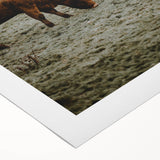 Rustic Wall Art - Grazing Cows in Countryside for Farmhouse Decor