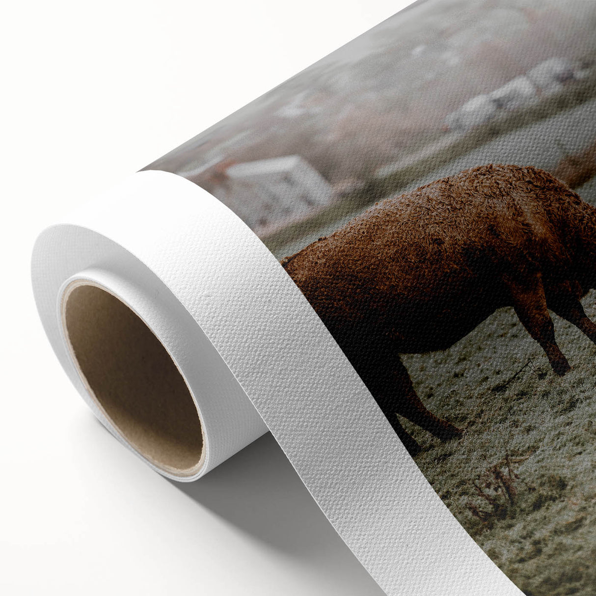 Rustic Wall Art - Grazing Cows in Countryside for Farmhouse Decor