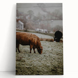 Rustic Wall Art - Grazing Cows in Countryside for Farmhouse Decor