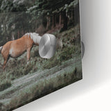 Rustic Horse Grazing Wall Art – Vintage Farmhouse Nature Scene Print