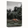 Rustic Horse Grazing Wall Art – Vintage Farmhouse Nature Scene Print