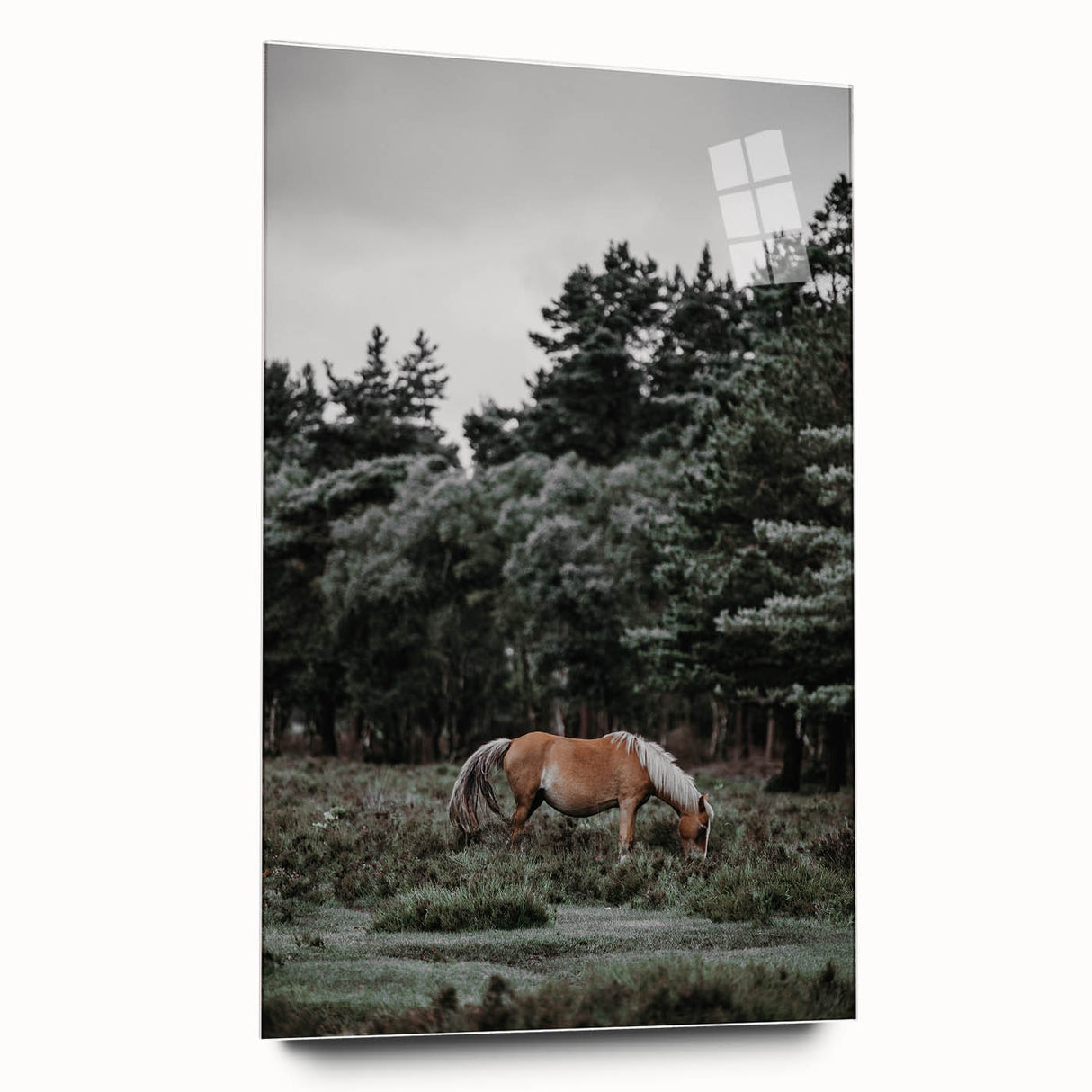 Rustic Horse Grazing Wall Art – Vintage Farmhouse Nature Scene Print
