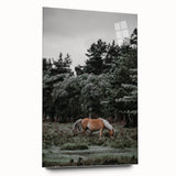 Rustic Horse Grazing Wall Art – Vintage Farmhouse Nature Scene Print