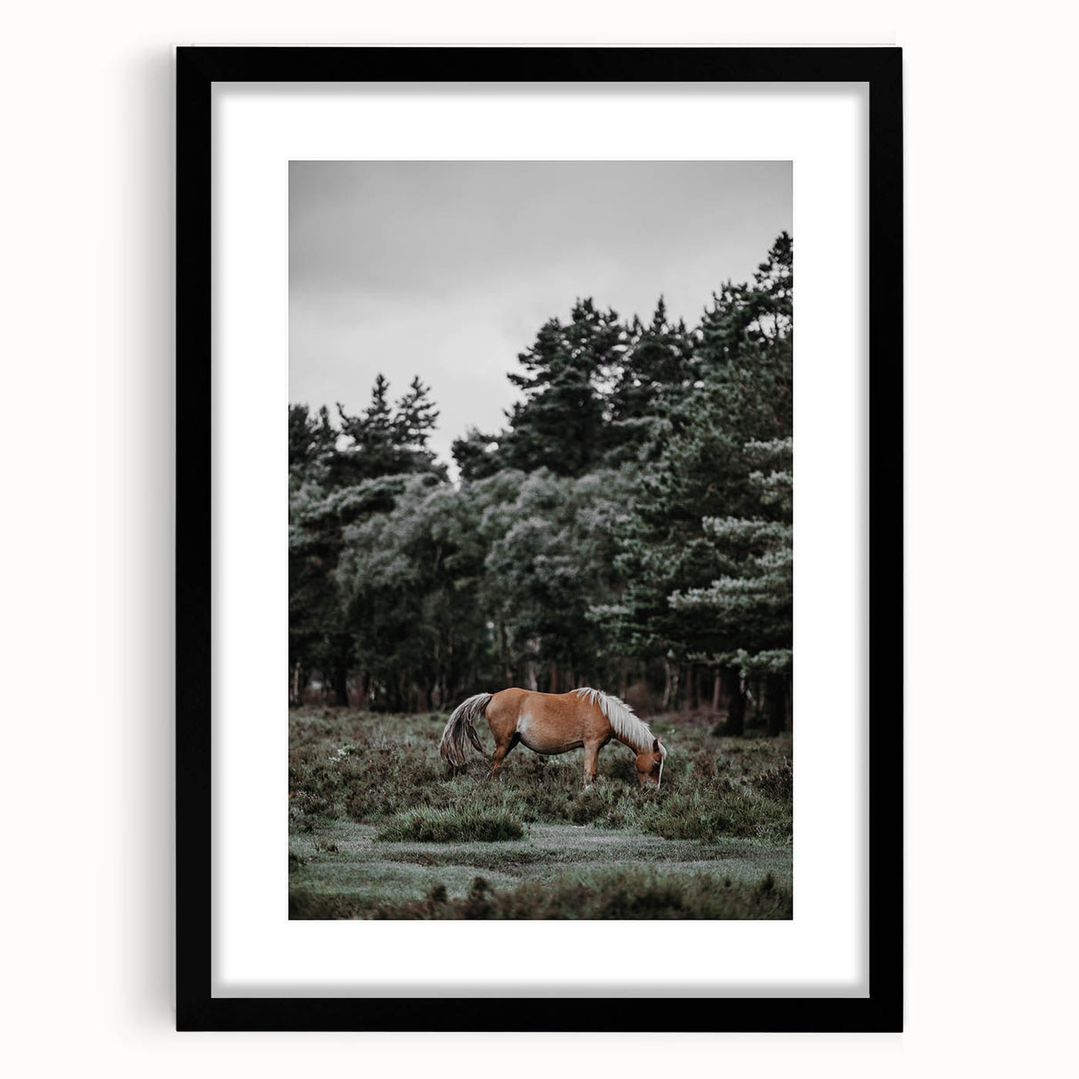 Rustic Horse Grazing Wall Art – Vintage Farmhouse Nature Scene Print