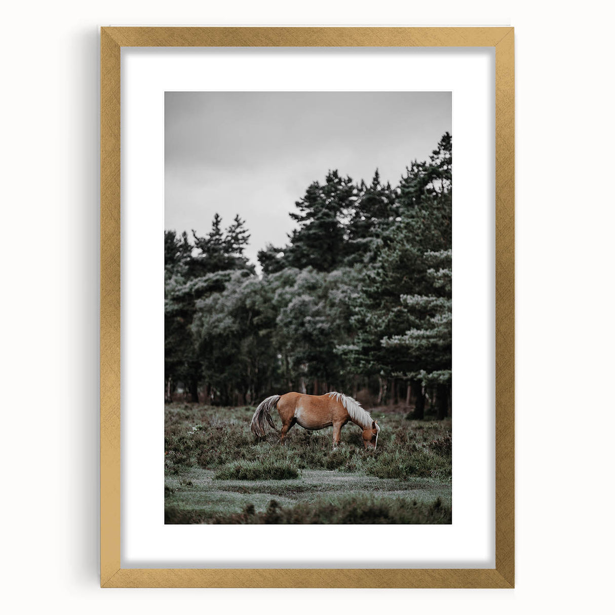 Rustic Horse Grazing Wall Art – Vintage Farmhouse Nature Scene Print