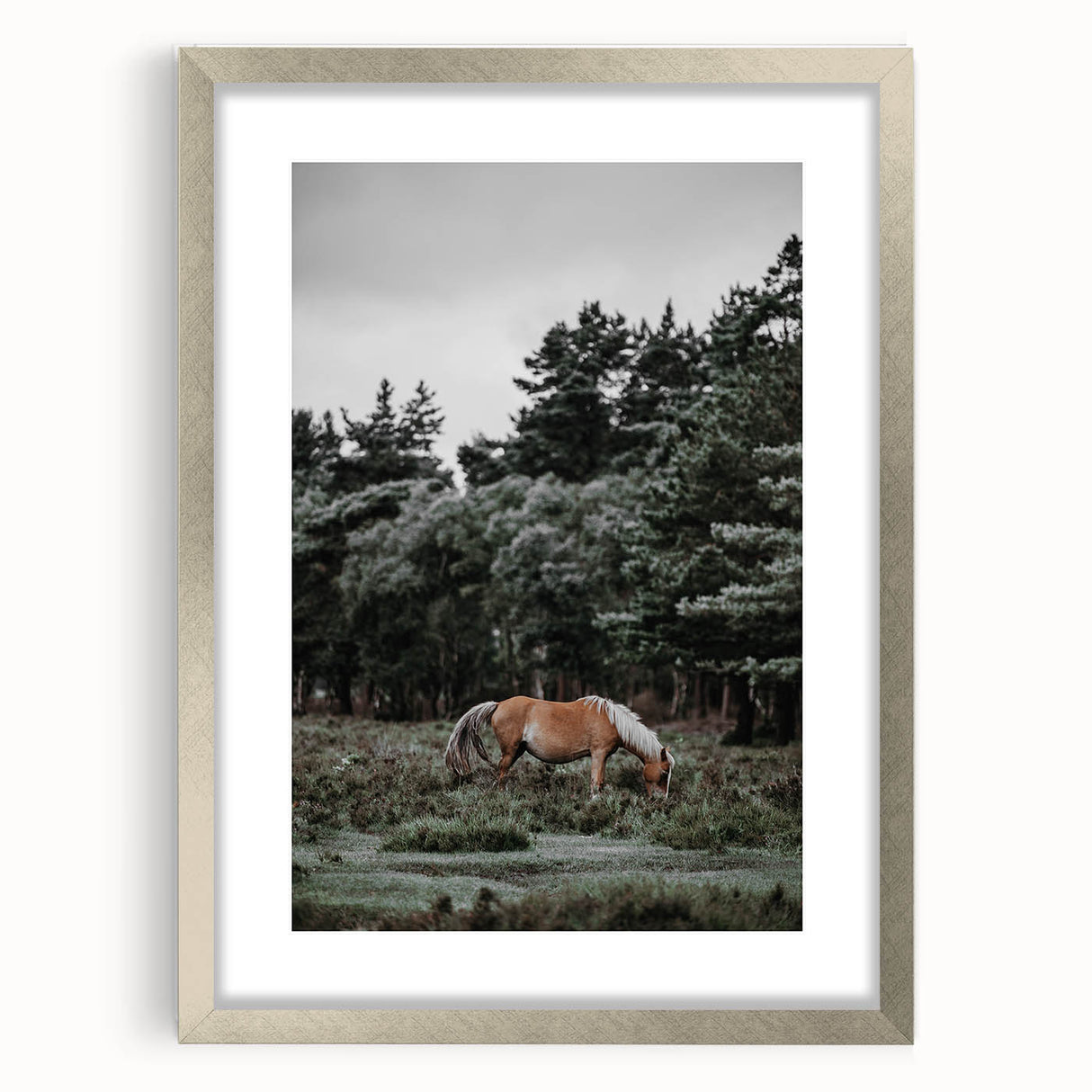 Rustic Horse Grazing Wall Art – Vintage Farmhouse Nature Scene Print