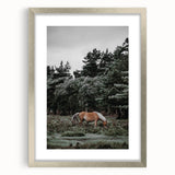 Rustic Horse Grazing Wall Art – Vintage Farmhouse Nature Scene Print