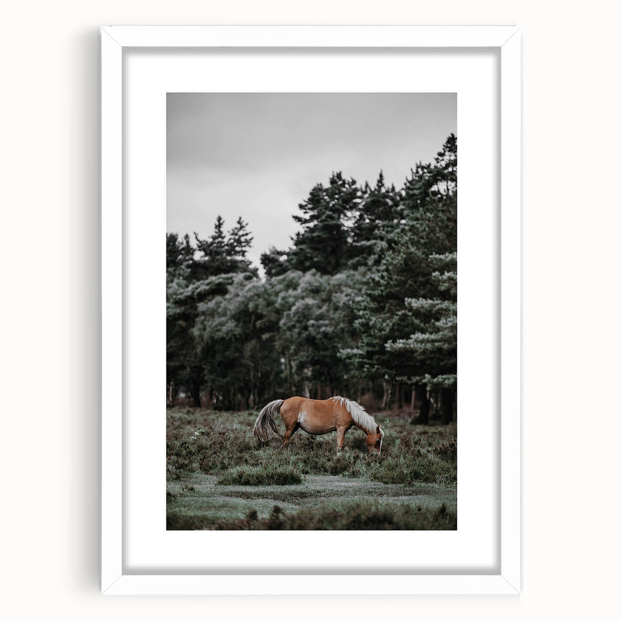Rustic Horse Grazing Wall Art – Vintage Farmhouse Nature Scene Print
