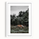 Rustic Horse Grazing Wall Art – Vintage Farmhouse Nature Scene Print