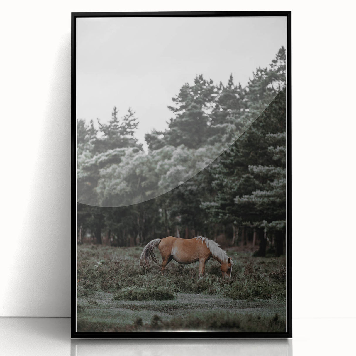 Rustic Horse Grazing Wall Art – Vintage Farmhouse Nature Scene Print