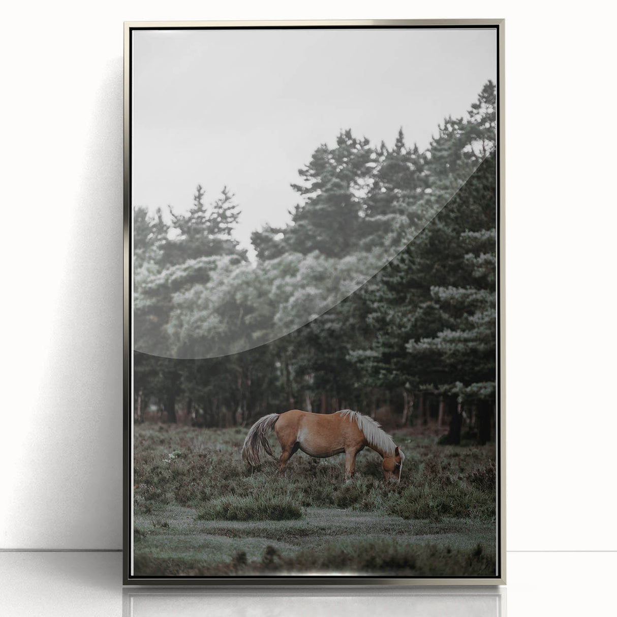 Rustic Horse Grazing Wall Art – Vintage Farmhouse Nature Scene Print