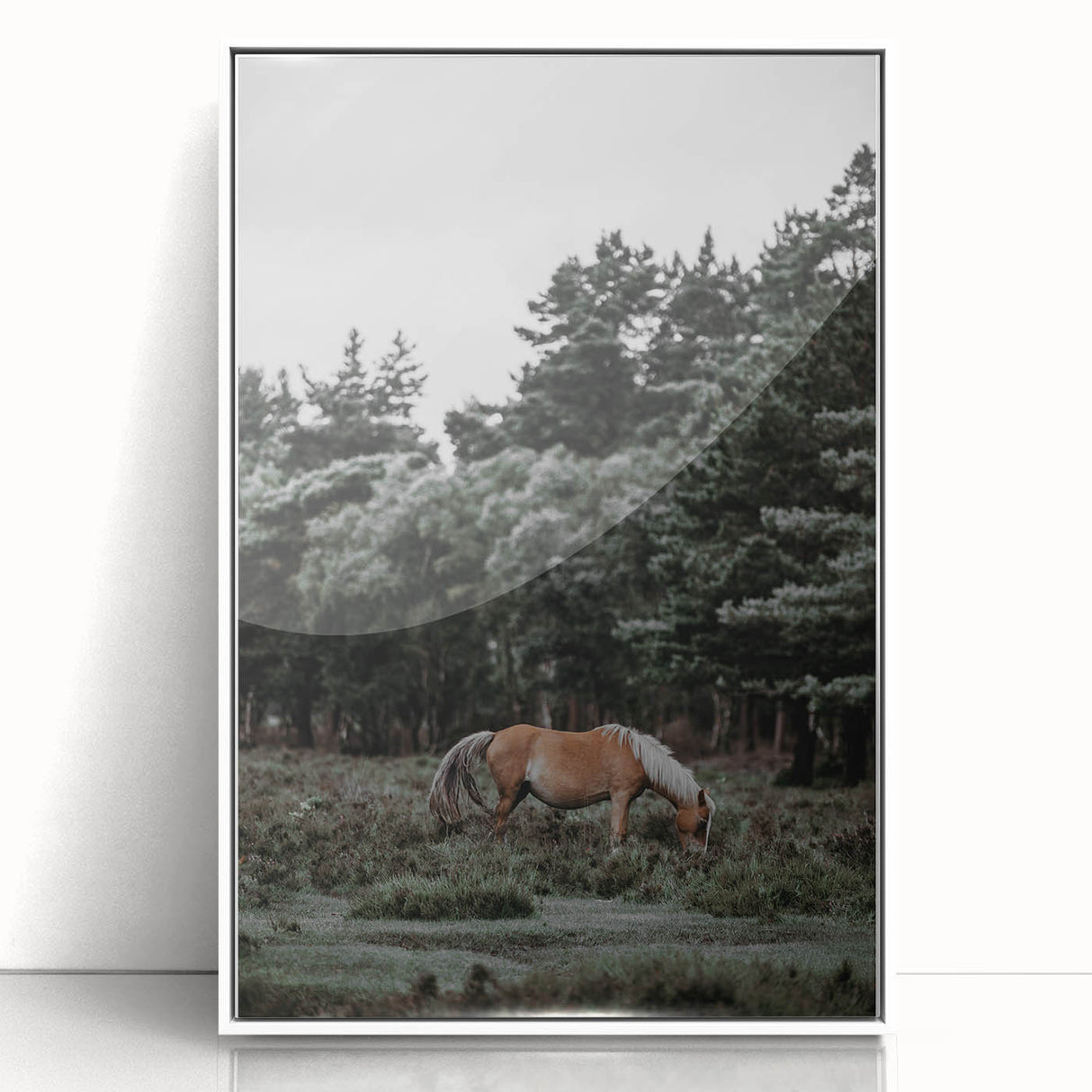 Rustic Horse Grazing Wall Art – Vintage Farmhouse Nature Scene Print
