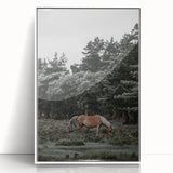 Rustic Horse Grazing Wall Art – Vintage Farmhouse Nature Scene Print