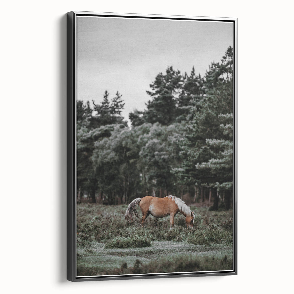 Rustic Horse Grazing Wall Art – Vintage Farmhouse Nature Scene Print