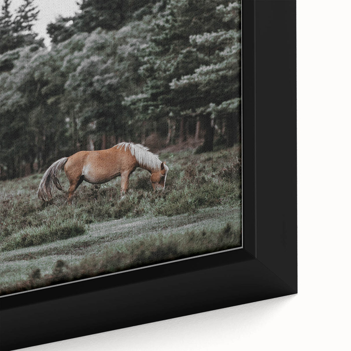 Rustic Horse Grazing Wall Art – Vintage Farmhouse Nature Scene Print