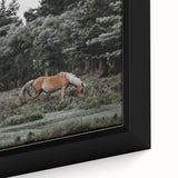Rustic Horse Grazing Wall Art – Vintage Farmhouse Nature Scene Print