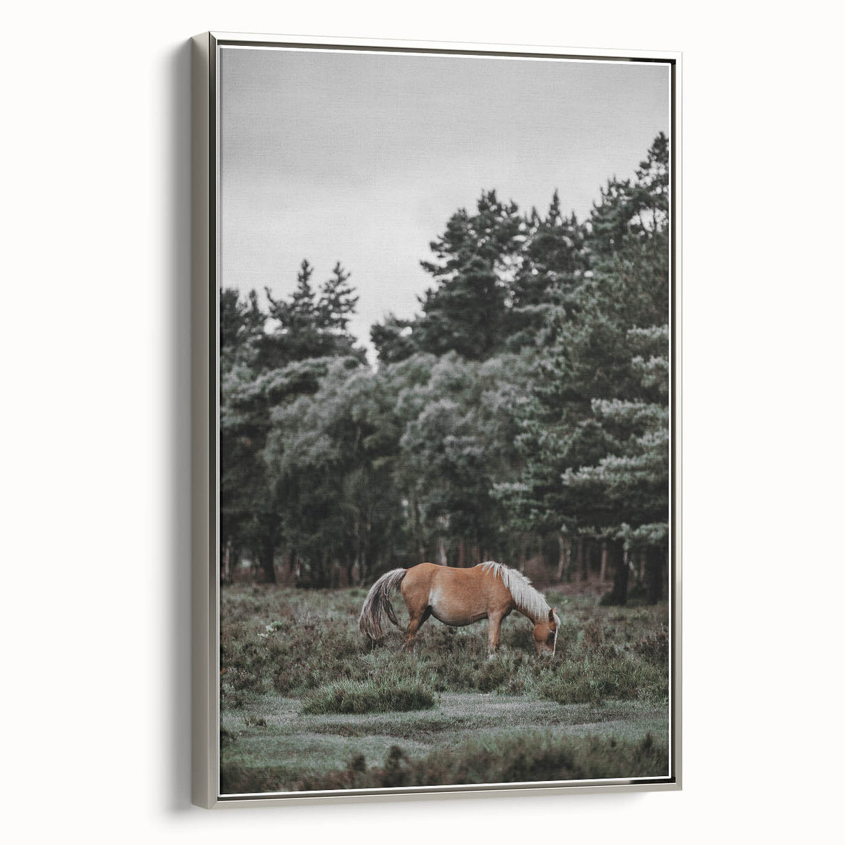 Rustic Horse Grazing Wall Art – Vintage Farmhouse Nature Scene Print