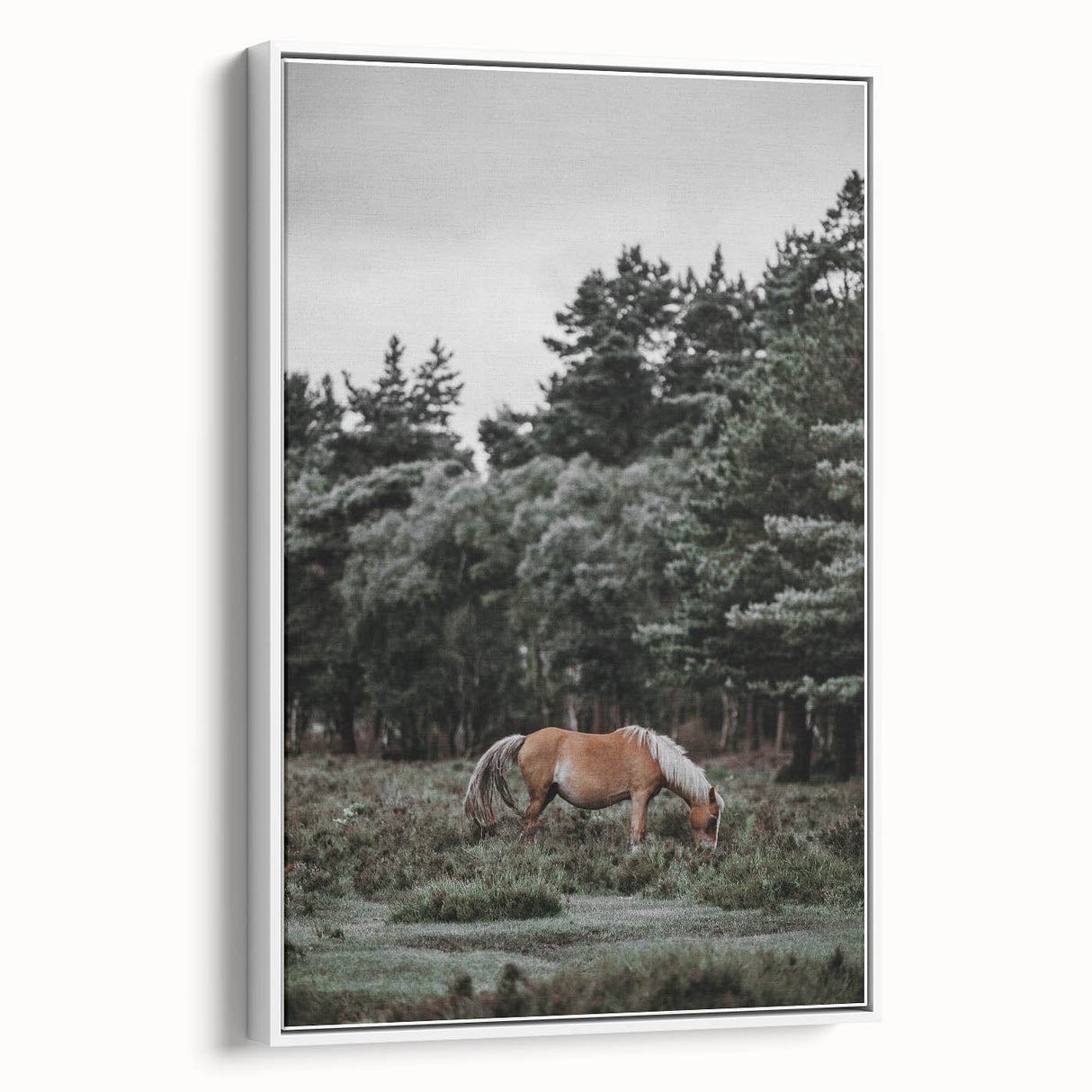 Rustic Horse Grazing Wall Art – Vintage Farmhouse Nature Scene Print