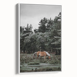 Rustic Horse Grazing Wall Art – Vintage Farmhouse Nature Scene Print