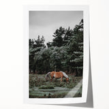 Rustic Horse Grazing Wall Art – Vintage Farmhouse Nature Scene Print